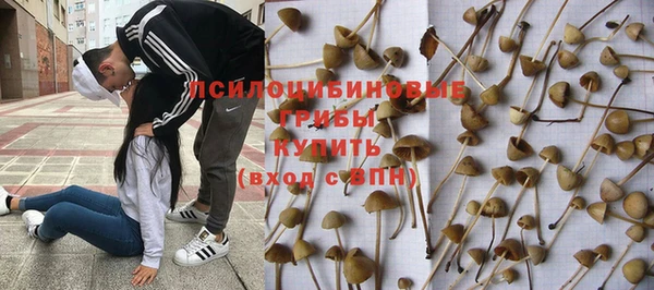соль ск Абдулино